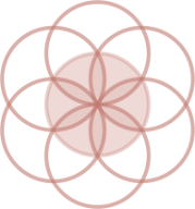 MediaMD